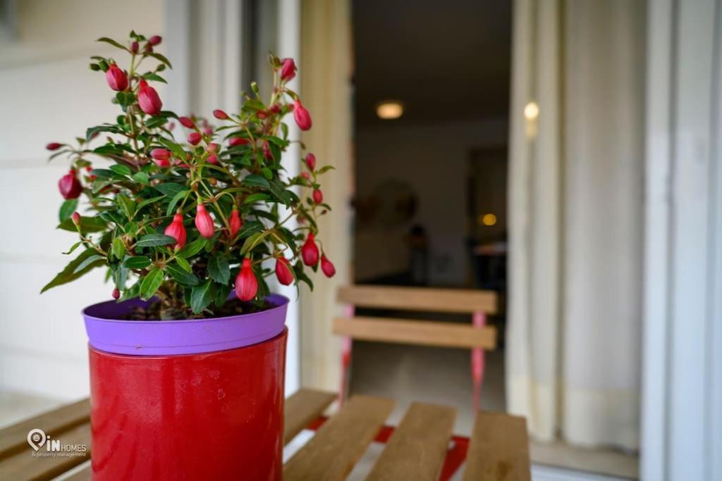 Thyme Out In Athens Apartment Екстериор снимка